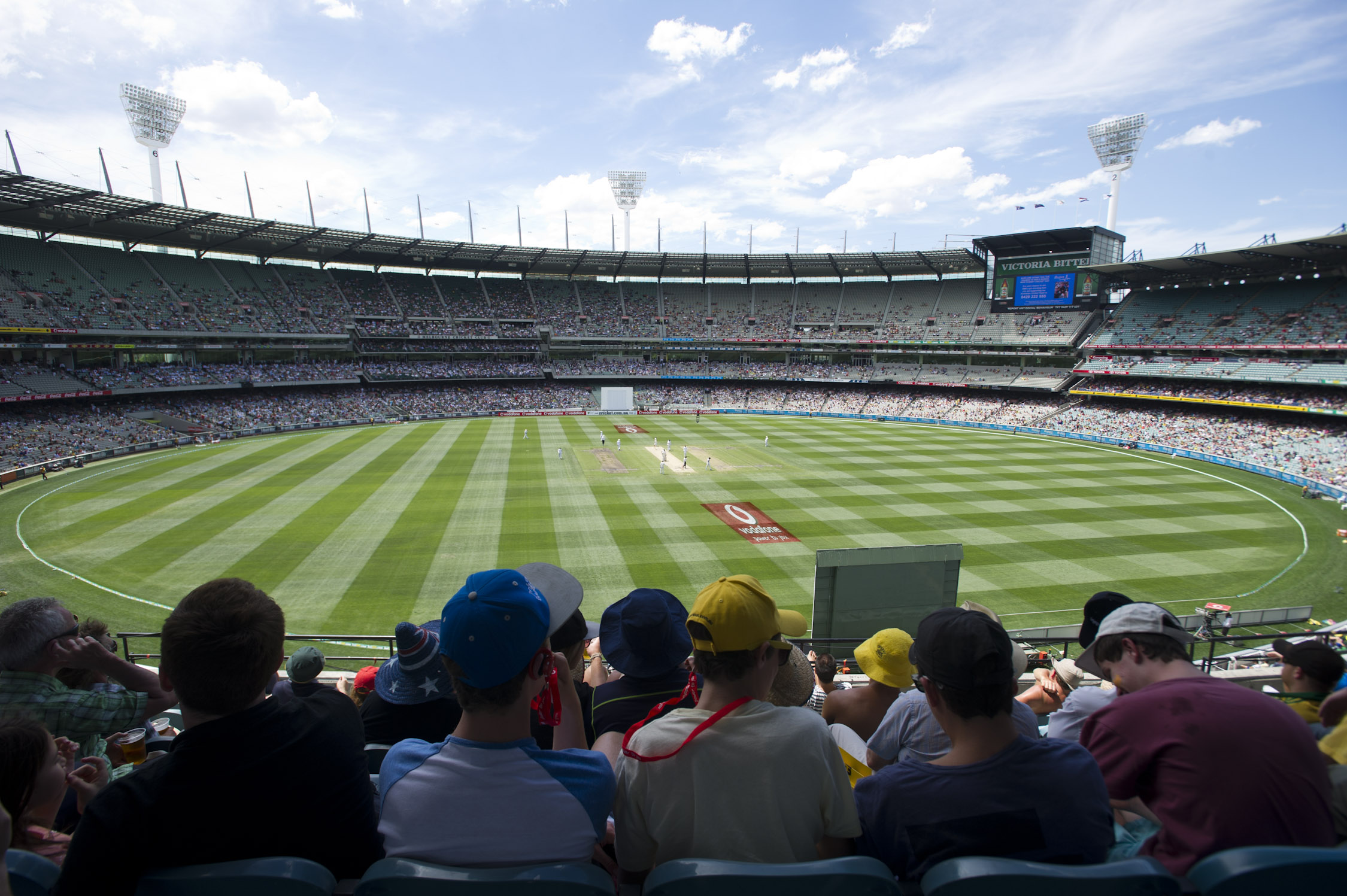 Cricket