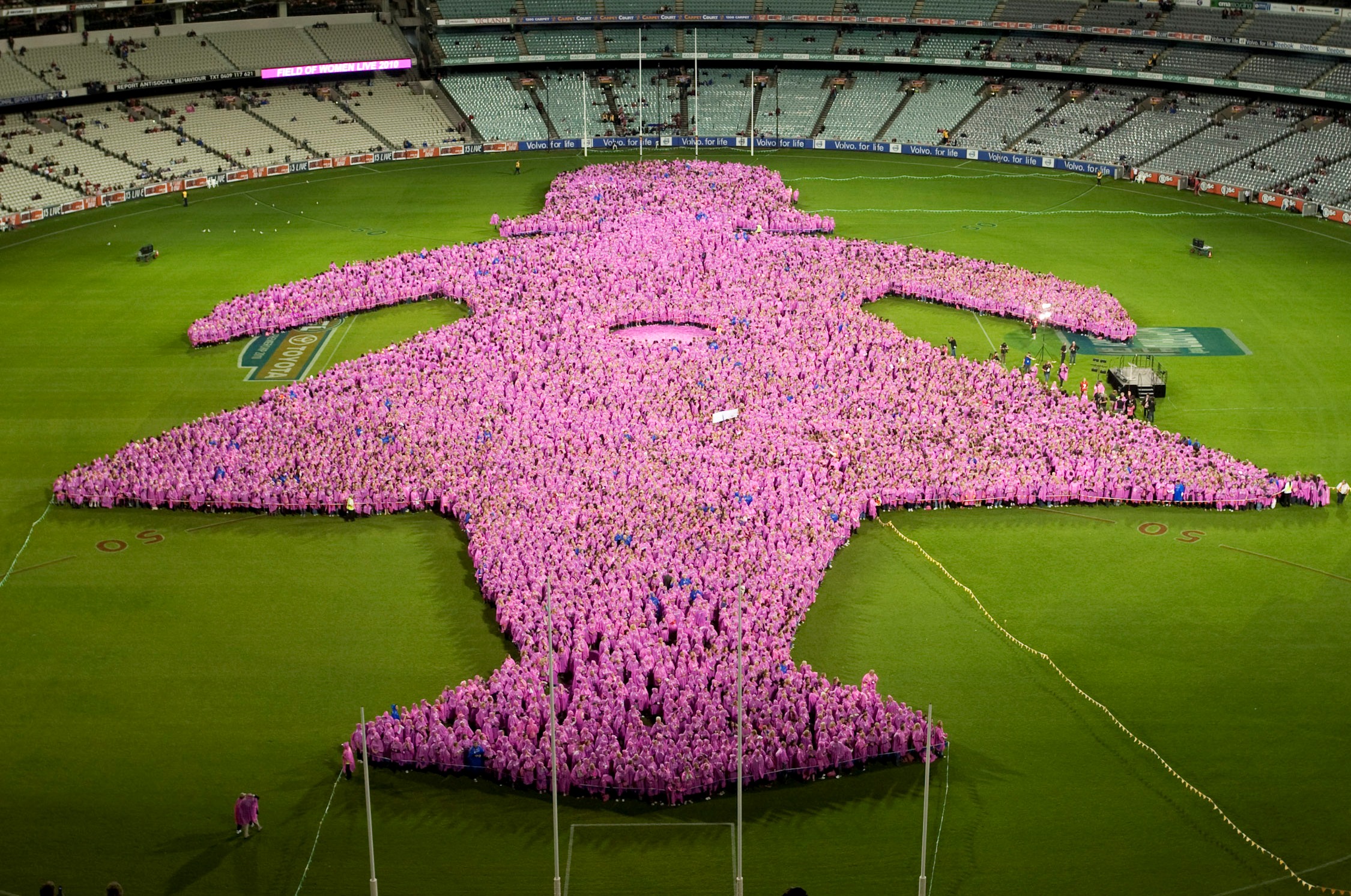 Field of Women for Breast Cancer awareness