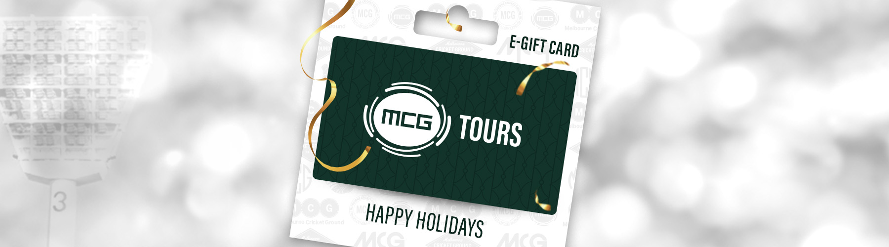 mcg tours gift card