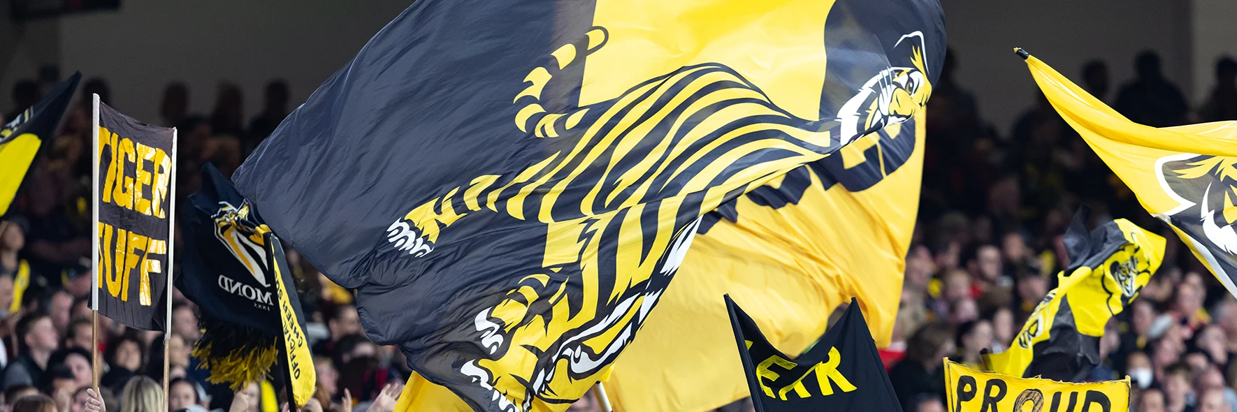 Richmond fans wave flags after a goal at the MCG