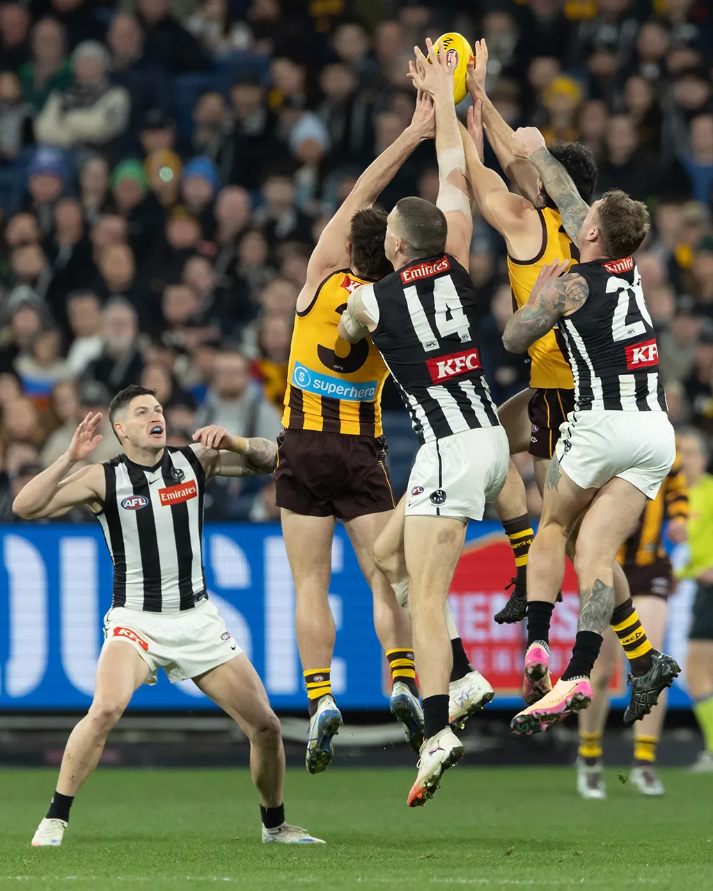 AFL25RD22_HAWvCOLL_261_TextWithImage_Desktop.webp