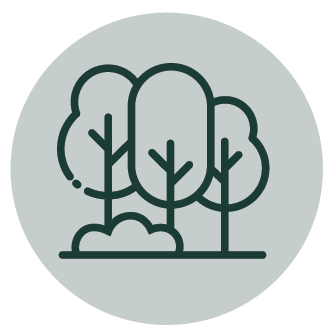 Trees icon